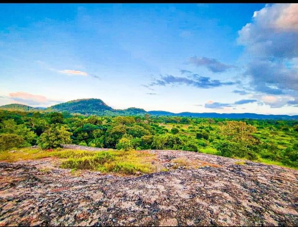 Visu Villa Hotel Habarana Bagian luar foto